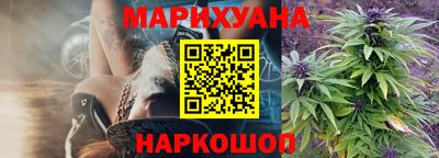 гашик Бузулук