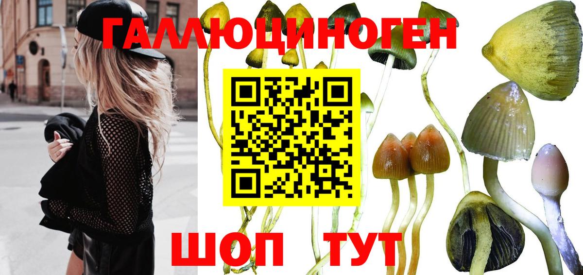 Псилоцибиновые грибы MAGIC MUSHROOMS Отрадный